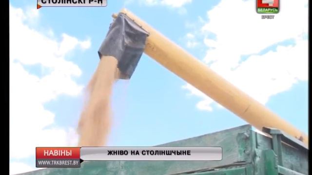 ЖНІВО НА СТОЛІНШЧЫНЕ (Відэа) смотреть онлайн