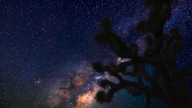 Роберт Рождественский - Мир мечется без сна (читает Владислав Костромин, 2ПФ) смотреть онлайн