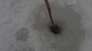 Ловля ПЛОТВЫ и БИРЮКА на ДОНКИ зимой!Рыбалка на ДОНУ 2022г!