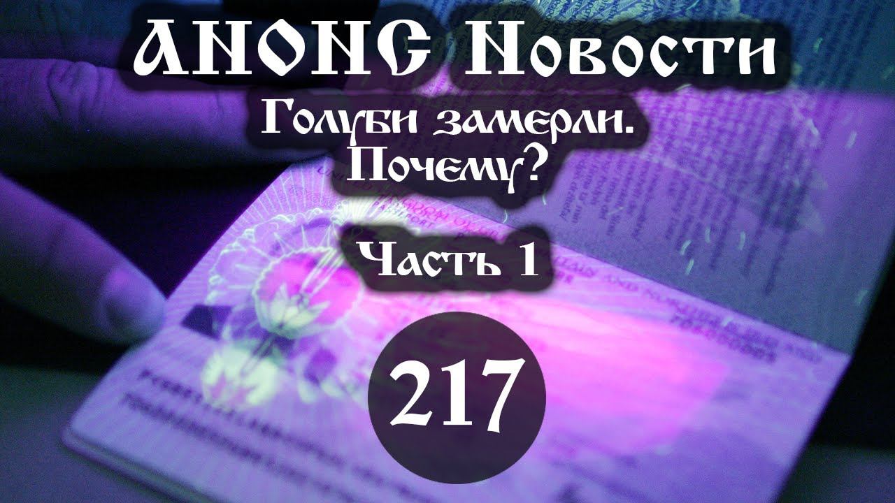 Анонс. Новости. 11.09.2021. Голуби замерли. Почему? (217/1), ссылки под видео. смотреть онлайн