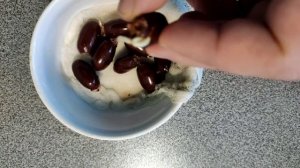 Личи из косточки!!! Самый быстрый и лёгкий способ!