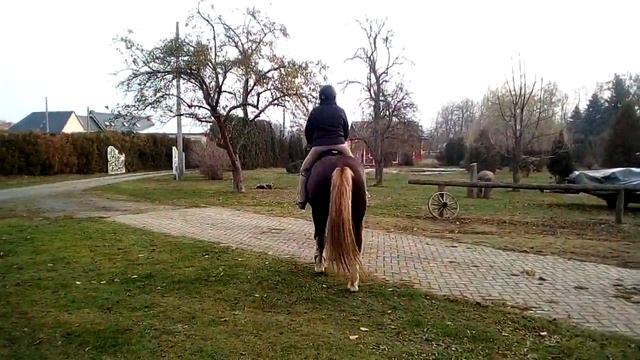 маруся 9 смотреть онлайн