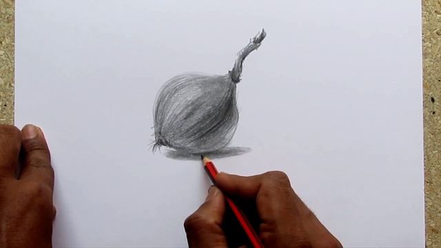 How To Draw An Onion Step By Step: Pencil Sketch Onion Drawing смотреть онлайн