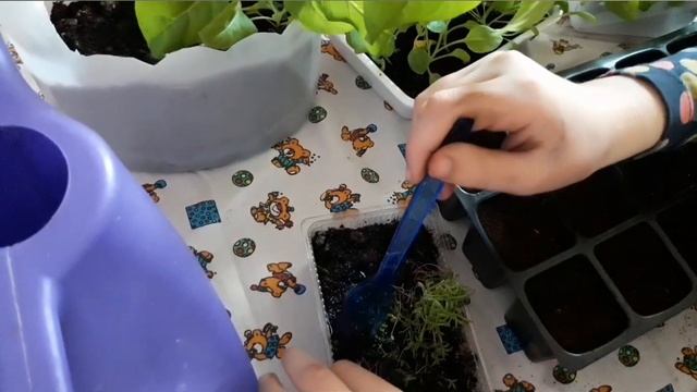 Ландшафтные открытия