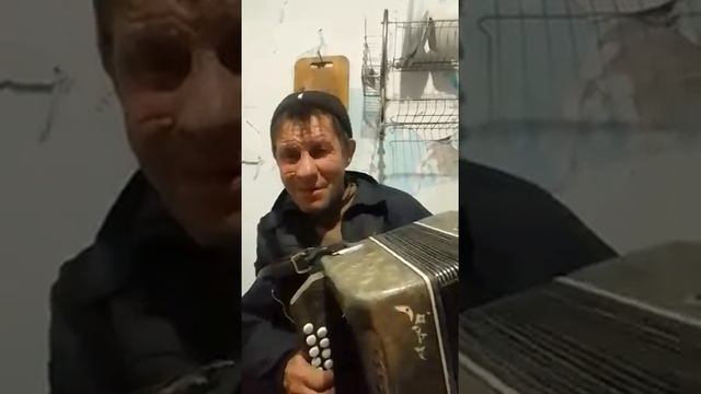 привет в армию, смех! смотреть онлайн