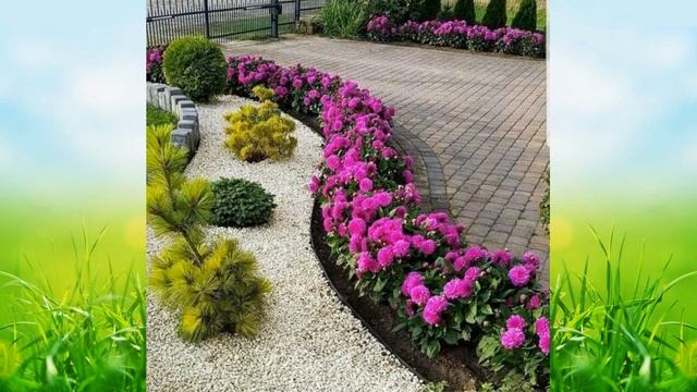Растения вдоль дорожек смотреть онлайн