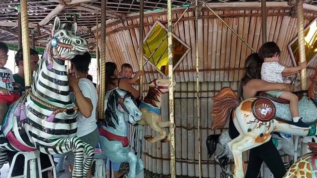 Зоопарк города Тампа, штат Флорида 👍 Zoo Tampa Florida #zoo #зоопарк смотреть онлайн