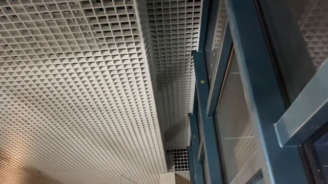 Балашиха. Монтаж подвесного потолка Грильято смотреть онлайн