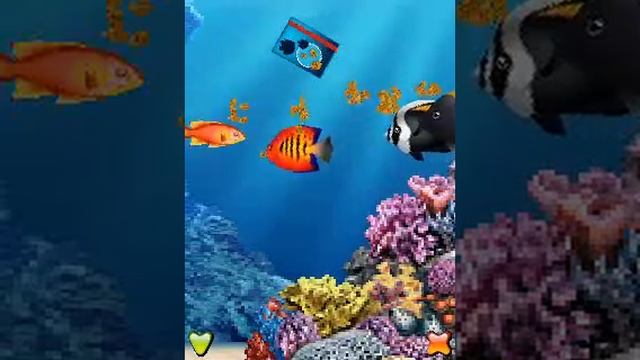 AquaPhone 3D by Dynamic Pixels смотреть онлайн