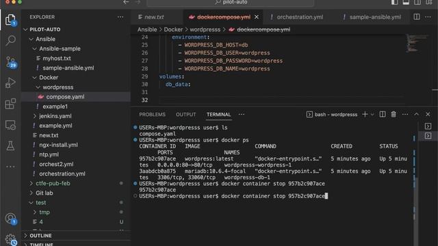 WordPress Docker with Docker Compose - Live Lab Tutorial смотреть онлайн