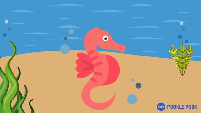 OCEAN Animal Quiz #2 | For Teachers and Kids | Teaching Resource | Timed Guessing Game смотреть онлайн
