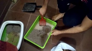 Как чистить кошачьи лотки