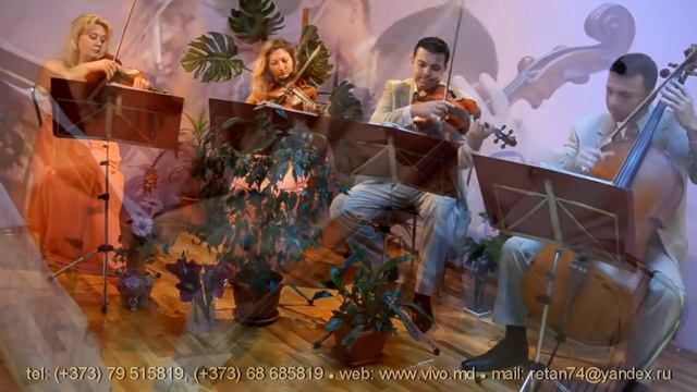 VIVO QUARTET - "Stand by me" - ВИВО КВАРТЕТ смотреть онлайн