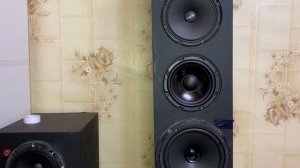 Обзор мини Сабвуфера MAXONY 6.5''