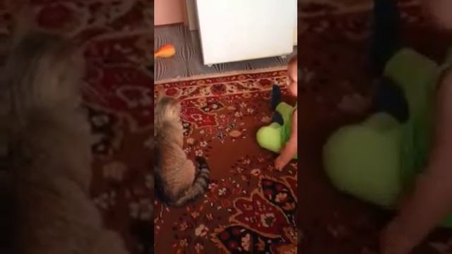 Елизавета I ...... смотреть онлайн