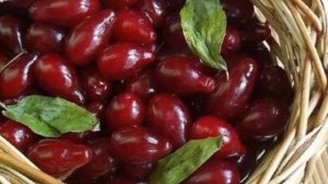 Выращивание Кизила как бизнес идея