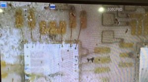 Отказывают форсунки, нет управляющего сигнала Опель