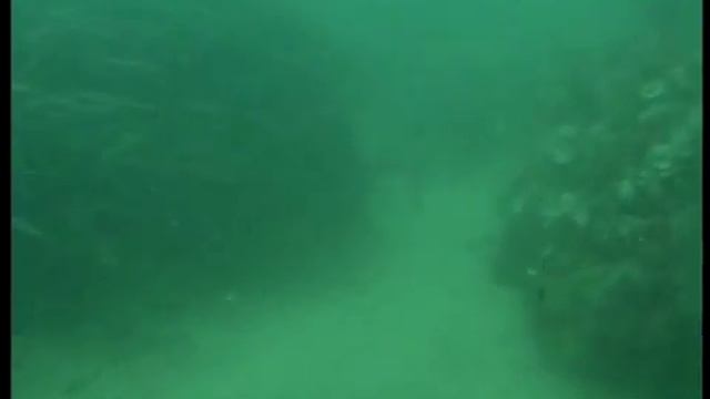 CRAM: zones verdes submergides (L'Ametlla de Mar) смотреть онлайн