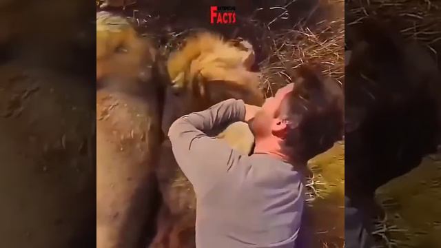 Они тоже умеют любить... смотреть онлайн