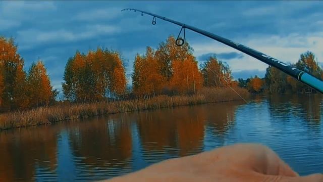 ПРОВОДКА СРАБОТАЛА! Улов БЫЛ под УГРОЗОЙ! Рыбалка на джиг на судака, щуку #джиг #рыбалка #судакщука смотреть онлайн