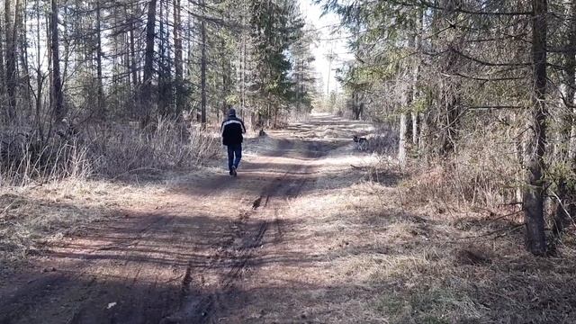 Мастерство и Жизненная Гармония