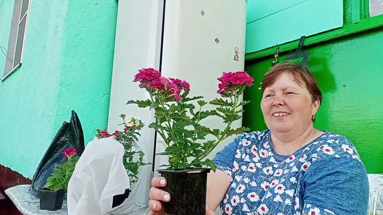 Накупила красоты. Жизнь в деревне .Хроника дня. смотреть онлайн