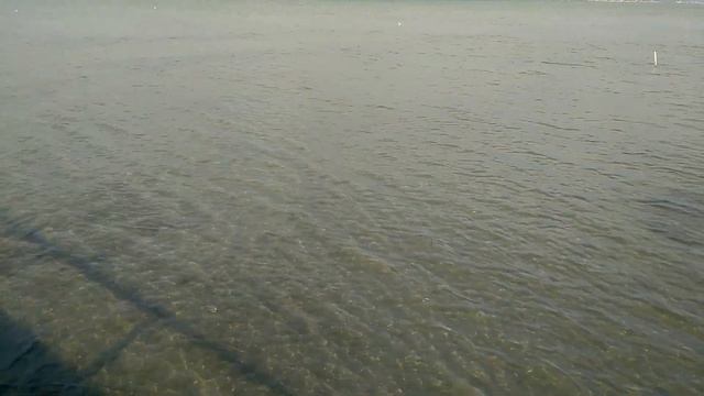 ОТКРЫТИЕ  КУПАЛЬНОГО СЕЗОНА.ЖИЗНЬ У МОРЯ.Переезд на юг.