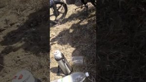 Рыбалка на кривду!!!!!