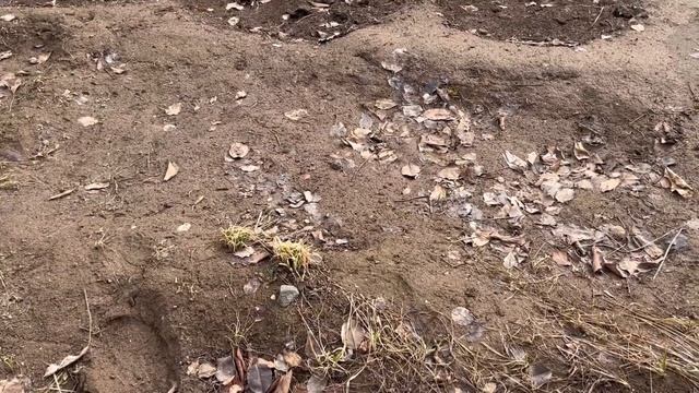 У нас весна! Растопырка что купил , новье на кухни смотреть онлайн