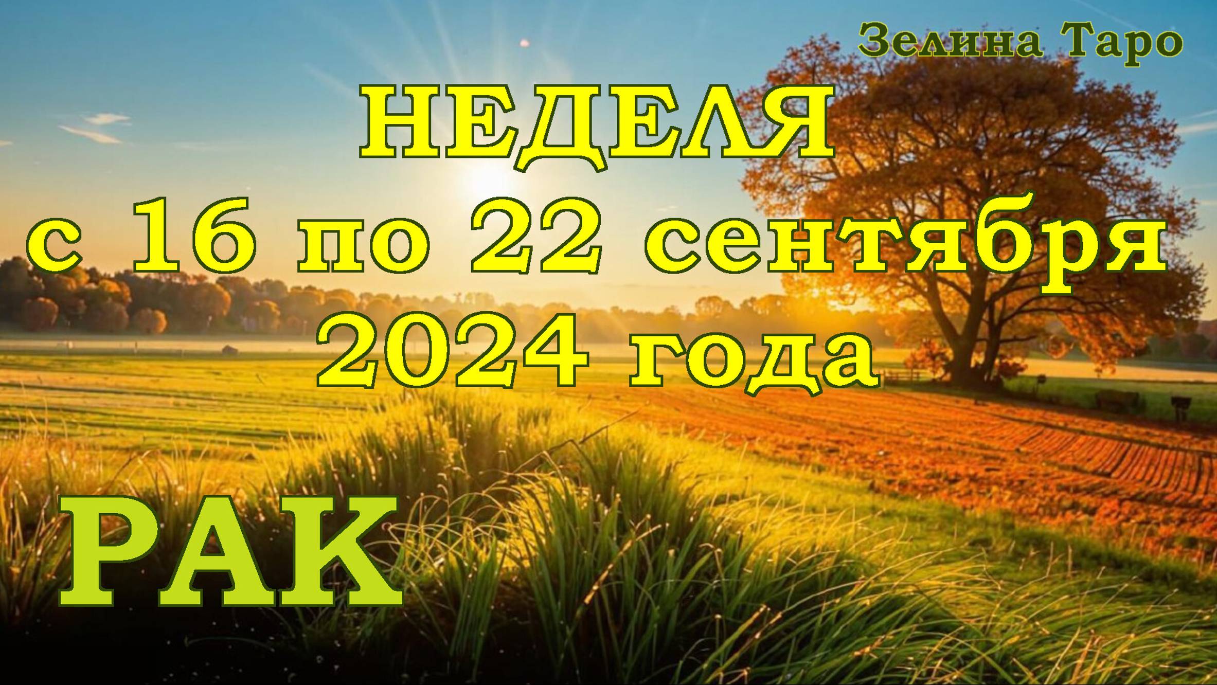 РАК | ТАРО прогноз на неделю с 16 по 22 сентября 2024 года