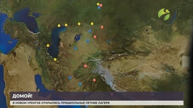 Впервые за 10 лет. На Ямал из Рязани доставили четыре краснокнижных стерха смотреть онлайн