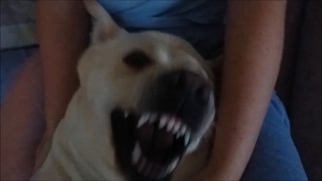 Релакс! Relax! смотреть онлайн