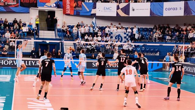 Концовка третьей партии. Динамо - Белогорье смотреть онлайн