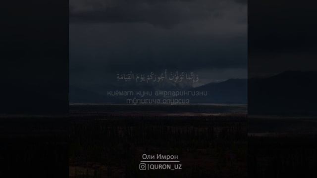 Қуръони карим Узбек тилида, 3 Сура | 185 Оят. смотреть онлайн