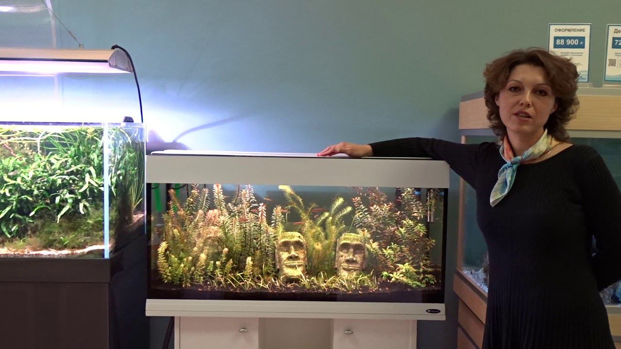 #Аквариум с экспресс-оформлением за #полцены! смотреть онлайн