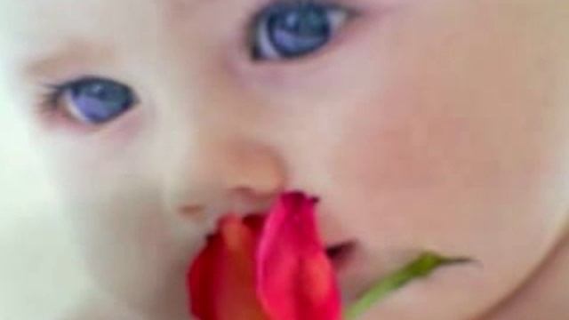 Рождение здорового ребёнка Подготовка к зачатию Дмитрий Аркадьевич Любченко смотреть онлайн