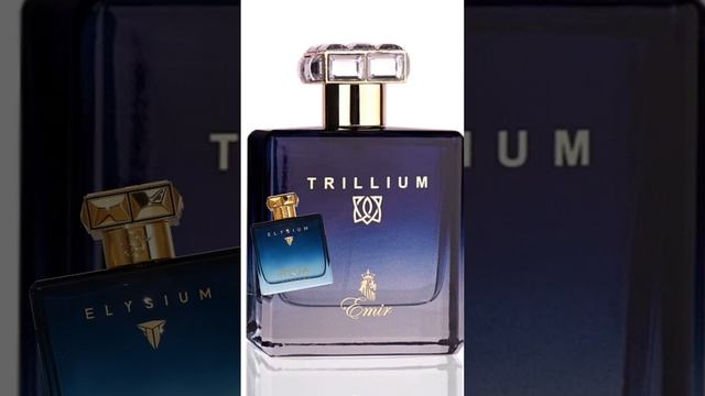 TRILLIUM VS IMPERIUM? смотреть онлайн