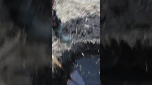 На рыбалку с лопатой!)))) матыыы смотреть онлайн