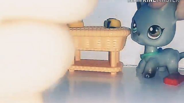 LPS | Сериал | Колючая роза. смотреть онлайн