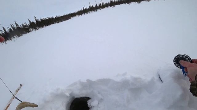 Снегоход динго125 испытание. Один в тайгу за 30км. Привезет обратно или пешком приду? смотреть онлайн