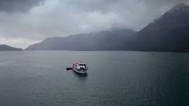 Is The Hairy Man Of Port Chatham Finally Caught On Video? | The Alaska Triangle смотреть онлайн