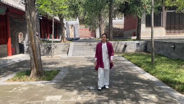 Гуанинь-цюань. Урок 2 смотреть онлайн