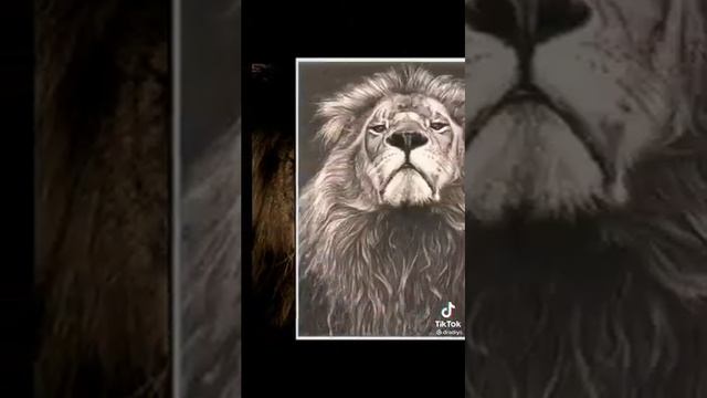 Лев-царь зверей смотреть онлайн