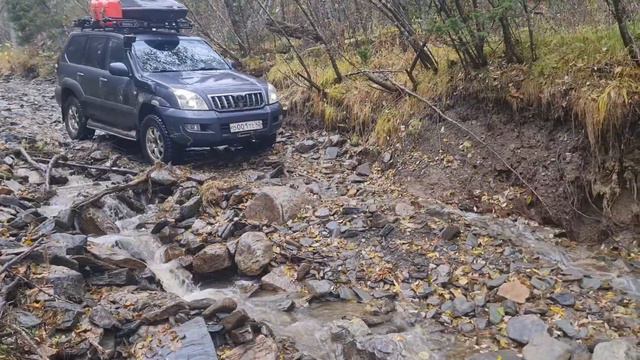 Результат рейда на Борус. смотреть онлайн