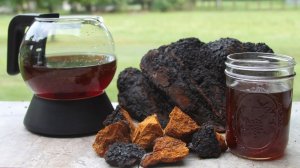 Лучшее средство  от всех полипов, кист и опухолей в организме!