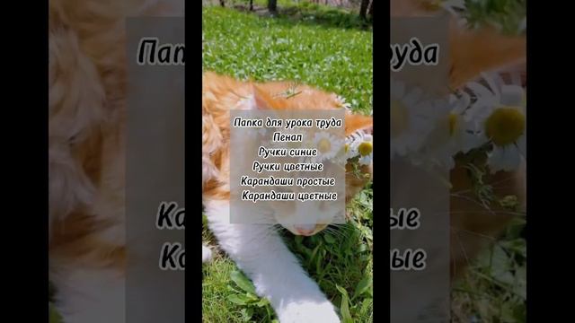 ~Список канцелярии в школу от Linanida_niy🧸🎀