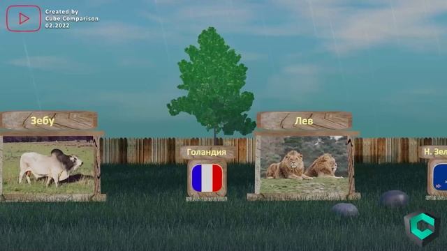 Национальные животные стран! Сравнение символов стран в 3D! смотреть онлайн