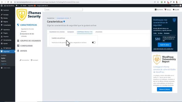 Como configurar iThemes Security Version 8 paso a paso смотреть онлайн