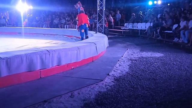 Мариуполь премьера Ростовского цирка Шапито 10.06.2023 смотреть онлайн