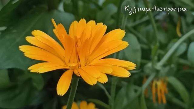 4 марта День Архипа и Филимона. Что нельзя делать 4 марта. Народные традиции и приметы. смотреть онлайн